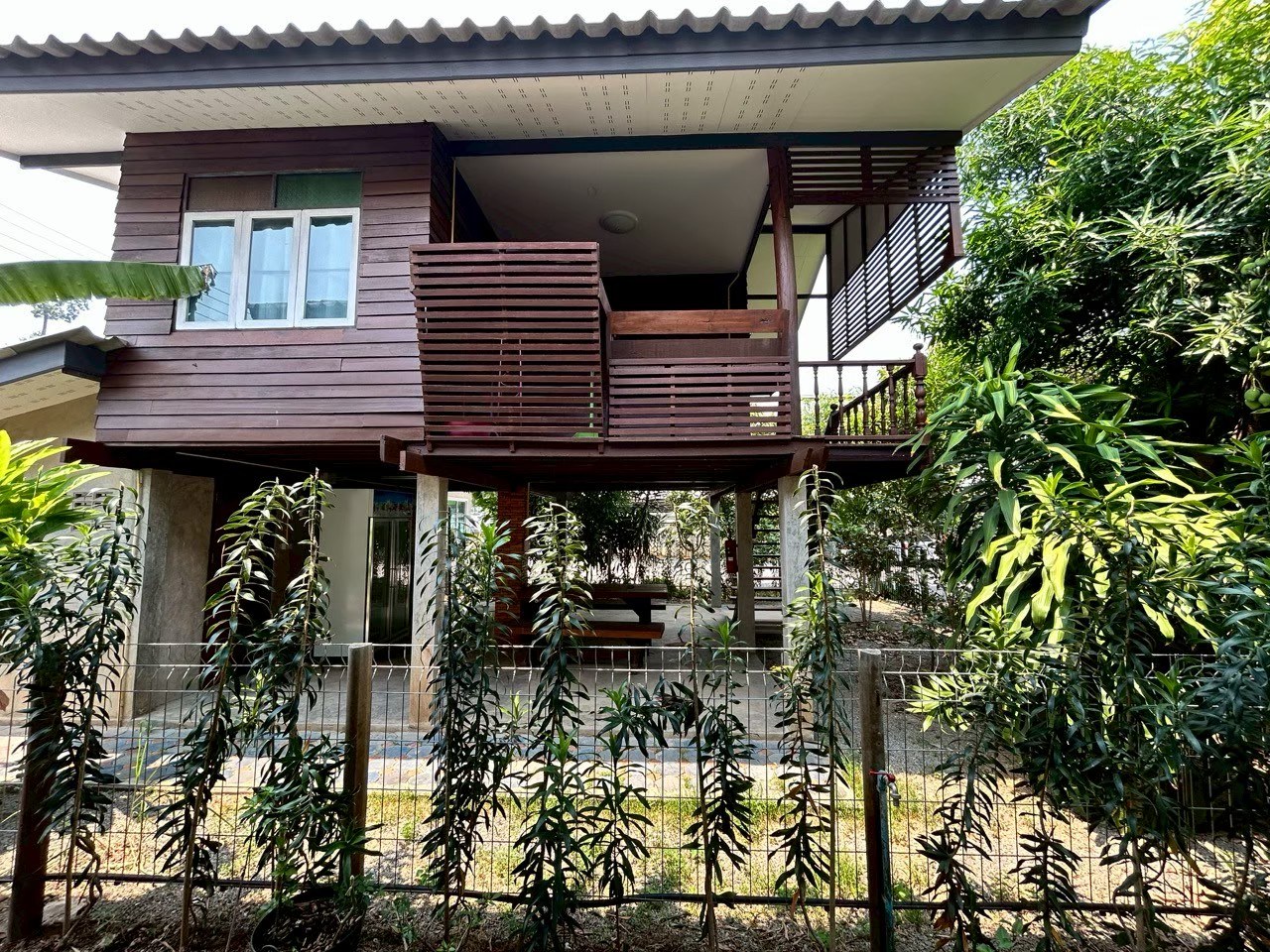 บ้านเช่าสไตล์รีสอร์ท สารภี บรรยากาศร่มรื่น 3