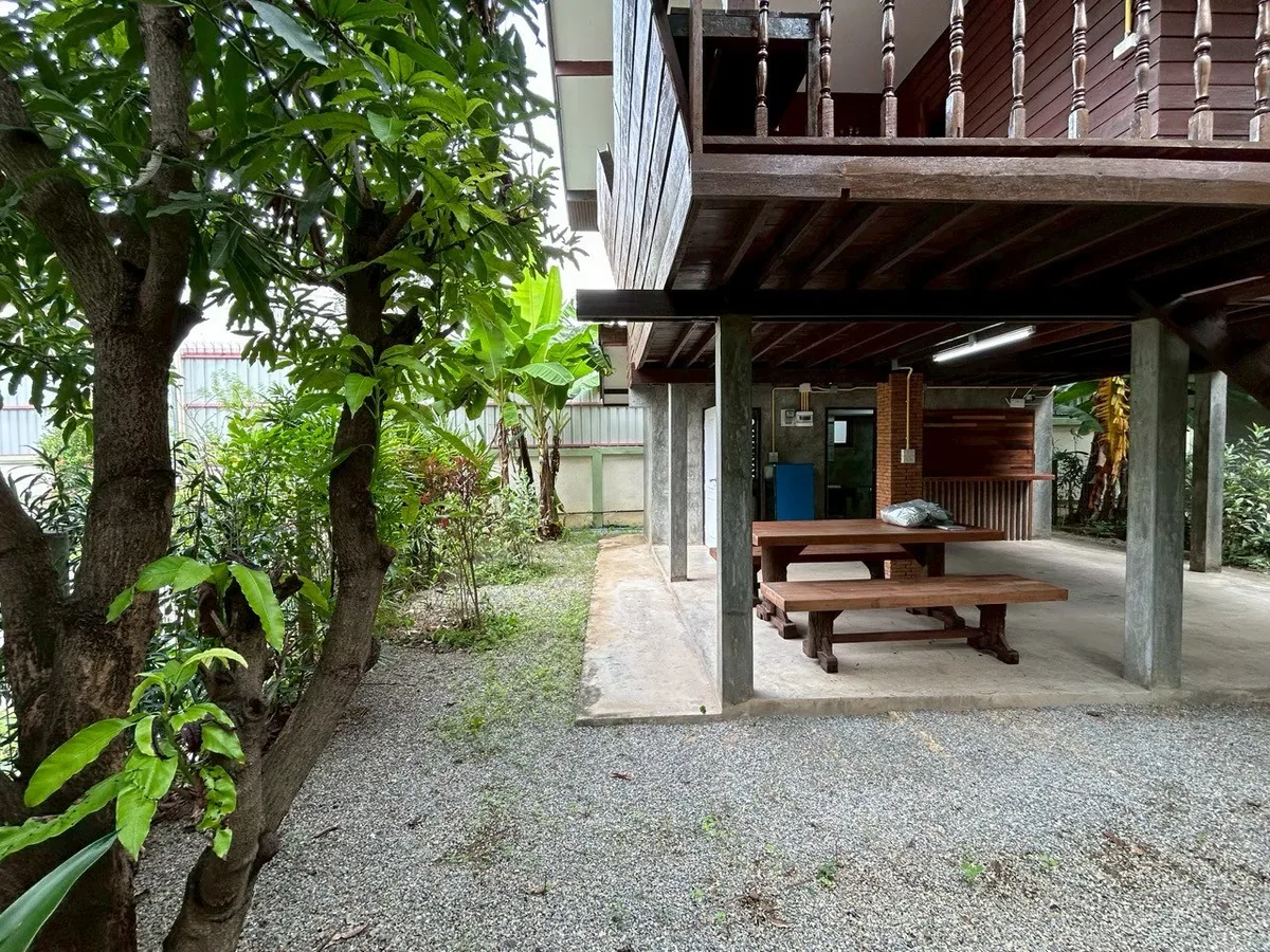 บ้านเช่าสไตล์รีสอร์ท สารภี บรรยากาศร่มรื่น 10